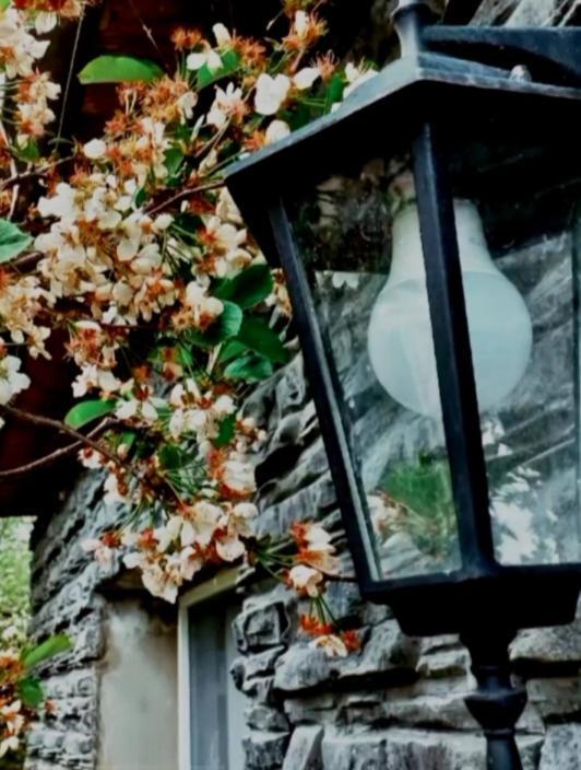 Cherry House Kazbegi Dış mekan fotoğraf